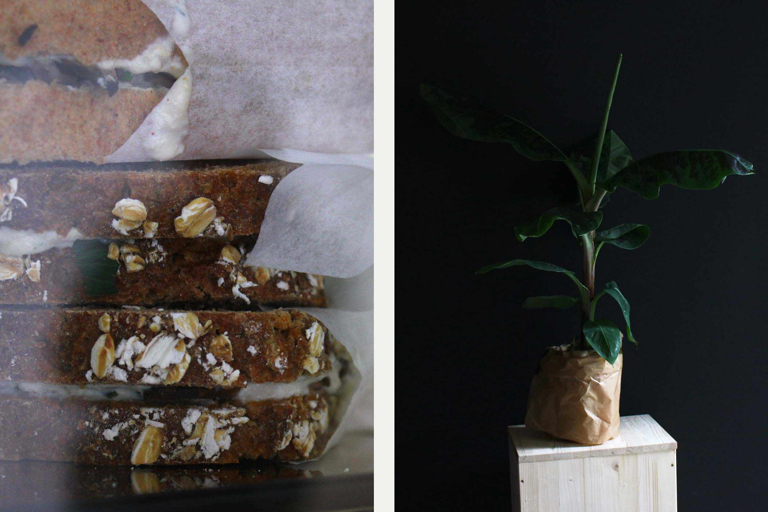 Y_Bildpaar03_ Kopie.jpg